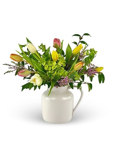 Pitcher Perfect Tulips Flower Arrangement