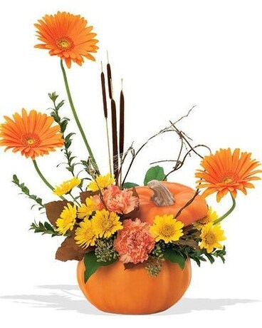 High Style Pumpkin