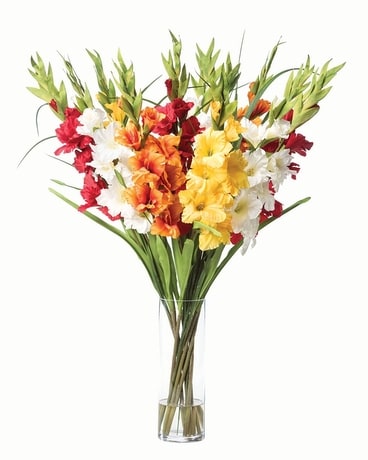Assorted Gladiolas in A Vase Flower Arrangement