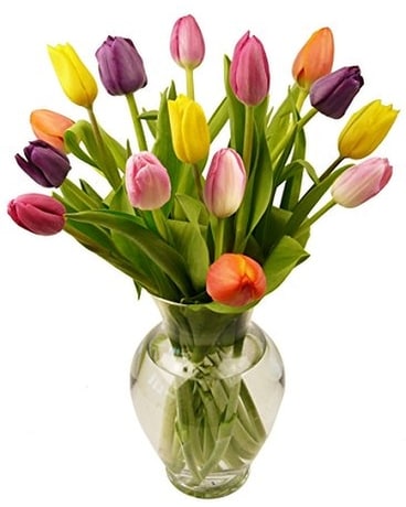 Rainbow Tulip Bouquet Flower Arrangement