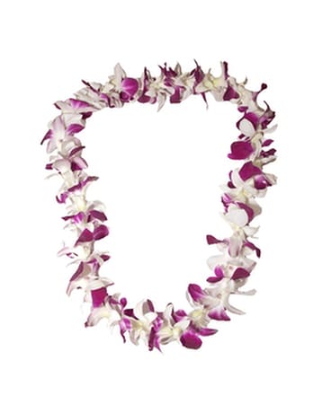 White & Purple Dendrobium Orchid Lei Specialty Arrangement