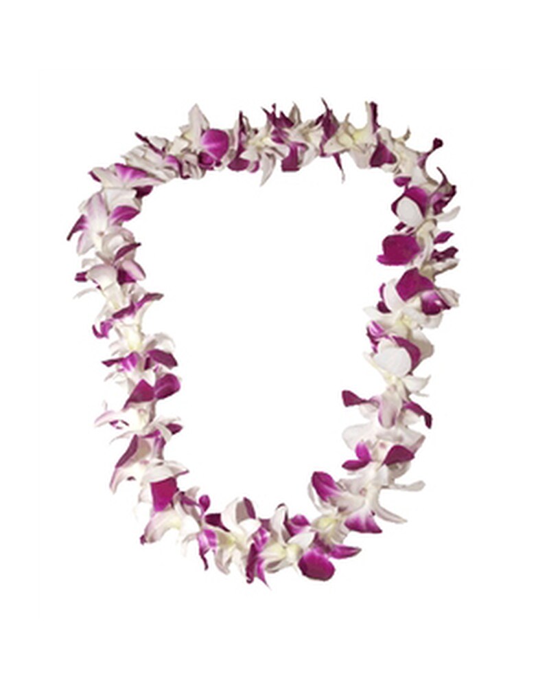 White & Purple Dendrobium Orchid Lei in Virginia Beach VA