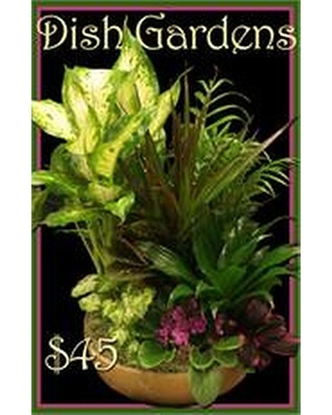 Dish Garden Flower Arrangement