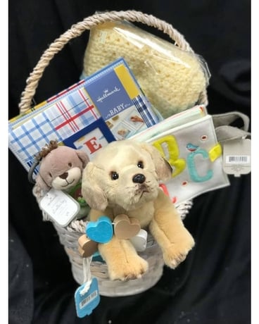 New Baby Gift Basket Gift Basket