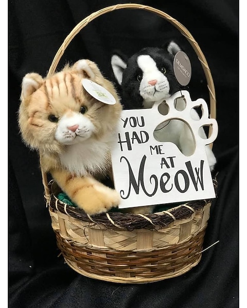 Gift Box Great Cat Gifts The Cat Dog Lover Gift Basket Gifts For