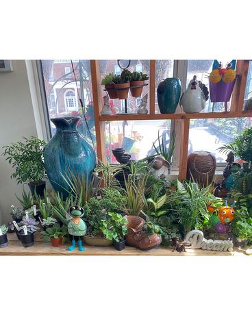 Houseplants Flower Arrangement