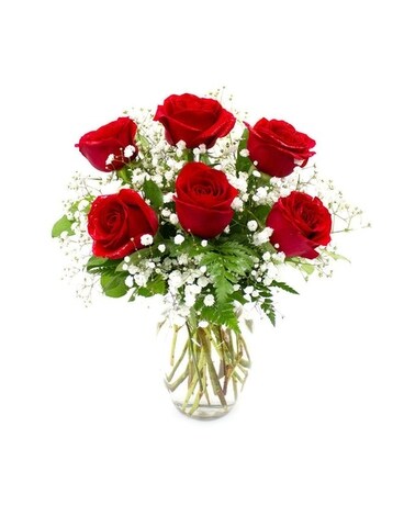 Classic Half Dozen Roses Flower Arrangement