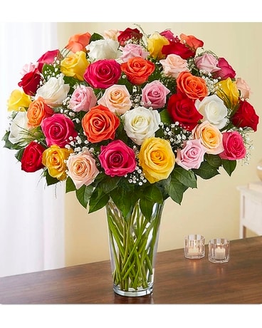 100 or 150 mixed roses Flower Arrangement