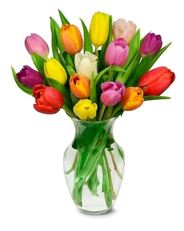 15 Rainbow Tulips Flower Arrangement