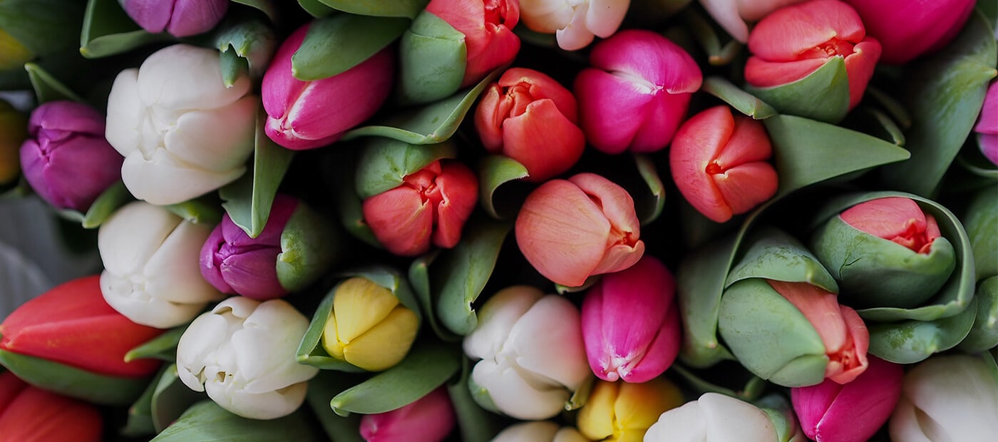 Seattle Florist Flower Delivery by Seattle Flowers