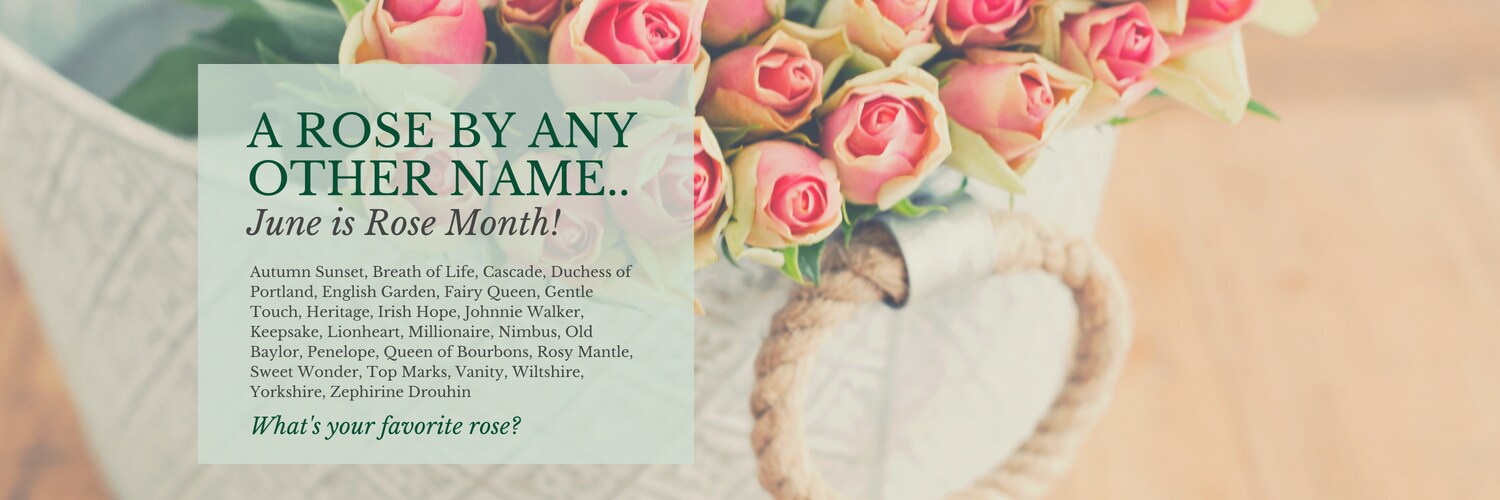 Seattle Flowers Since 1947