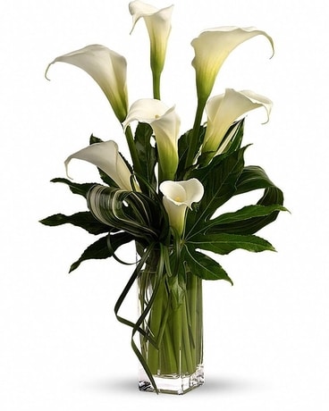 My Fair Lady Flower Arrangement