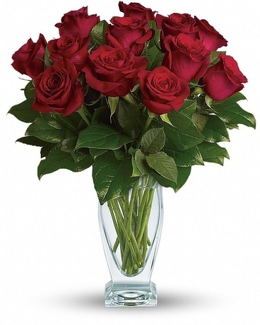 Teleflora's Rose Classique - Dozen Red Roses Flower Arrangement