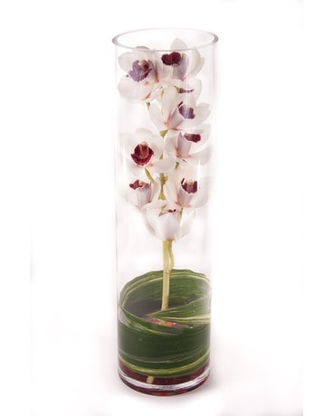 Stylish Zen Orchid | Same-Day Flower Delivery in Seattle, WA