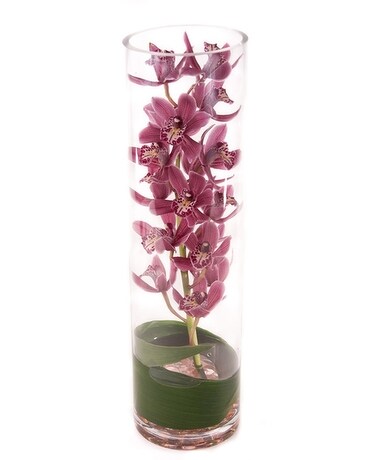 Elegant Orchid Zensation Flower Arrangement