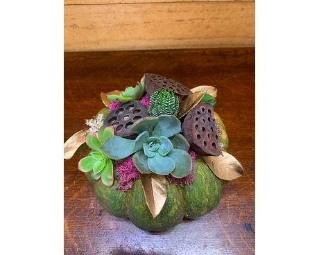 Green Succulent Pumpkin Flower Arrangement