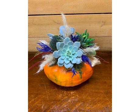 Large Succulent Pumpkin Flower Arrangement