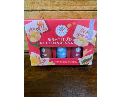 Gratitude Reconnaissance Oils