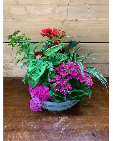 Assorted Planter Flower Arrangement
