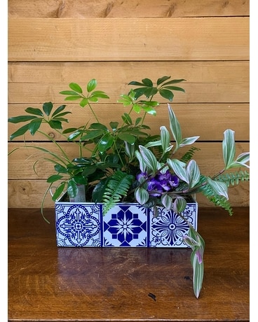 Plant Garden Flower Arrangement