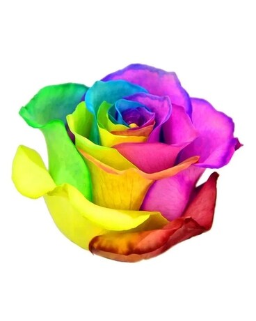 Pride bouquet Flower Arrangement