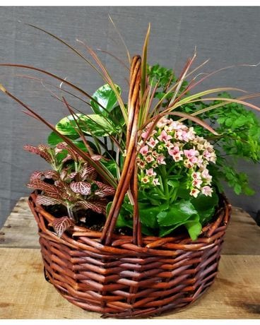 TCL's Blooming Planter Basket Flower Arrangement