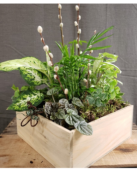 8" Round size,  inches height and  inches wide.