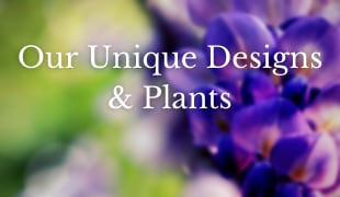 Our Unique Designs & Plants