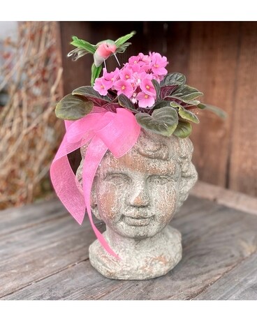 Flowering Cherub Dish Garden Plant
