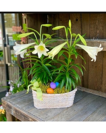 Double Duty Flower Arrangement