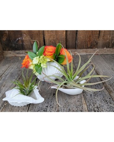 Sea Shells by the Sea Shore Flower Arrangement