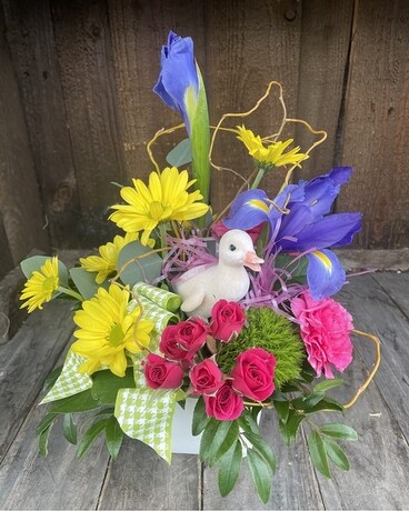Ducky Daisies Flower Arrangement