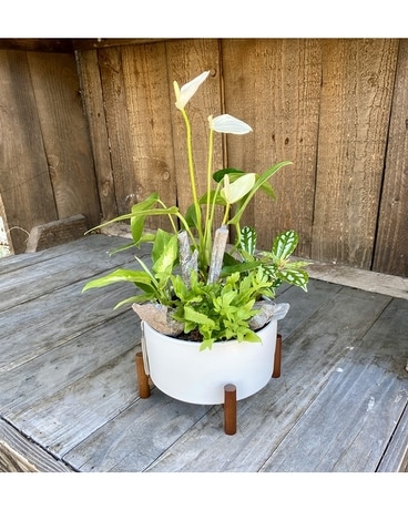 Perfect Tropical Planter Plant
