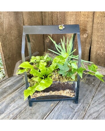 Fairy Bee Garden Plant
