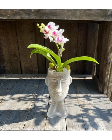 Plants Delivery Issaquah WA - Countryside Floral & Garden