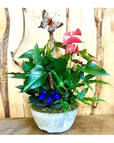 Our Unique Plants Delivery Issaquah WA - Countryside Floral & Garden