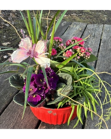 Our Unique Plants Delivery Issaquah WA - Countryside Floral & Garden