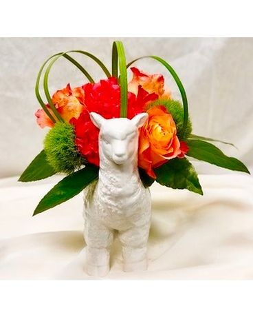 Baby Llama Drama Flower Arrangement
