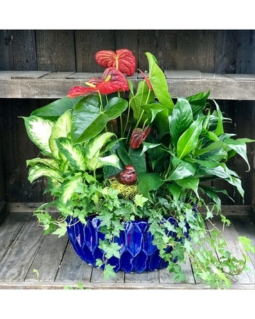 Lush as Life Flower Arrangement