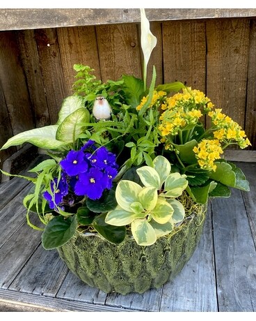 Summer's Garden Planter Plant