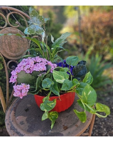 Our Unique Plants Delivery Issaquah WA - Countryside Floral & Garden