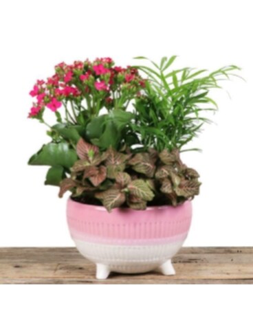 Plants Delivery Freeland WA - Flowers by the Bay