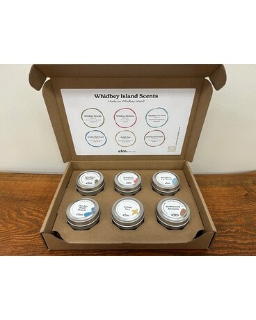 Elm Design Candles 6 pack  Whidbey Island Scents Gifts