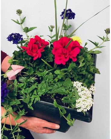 Combo Pot Custom product