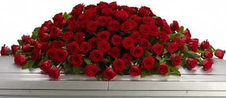 Beautiful Seasonal Flowers Banner