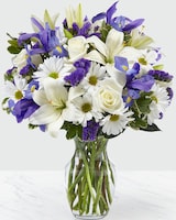 Deluxe size,  inches height and  inches wide.