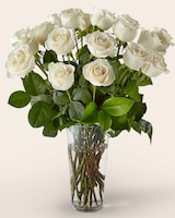Deluxe size,  inches height and  inches wide.