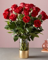Deluxe size,  inches height and  inches wide.