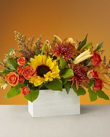 The Golden Hour Bouquet Flower Arrangement