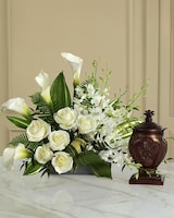 Deluxe size,  inches height and  inches wide.